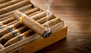 Cigar cực ký nguy hiểm cho sức khỏe